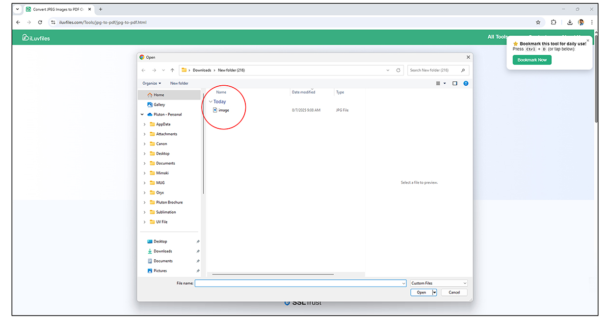 Step 2 - Apply Filters and Download